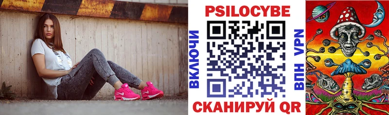Галлюциногенные грибы Cubensis  где продают   блэк спрут вход  Новомичуринск 